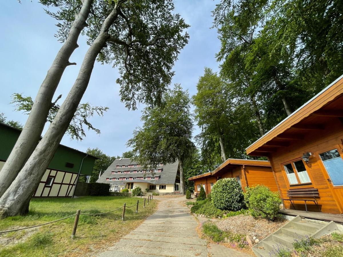 Готель Forsthaus Langenberg Герінгсдорф Екстер'єр фото